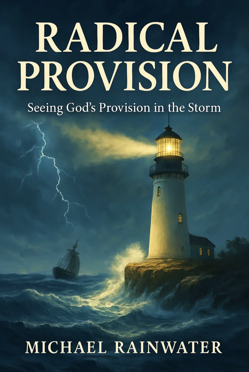Radical Provision — Seeing God's Provision in the Storm, book cover